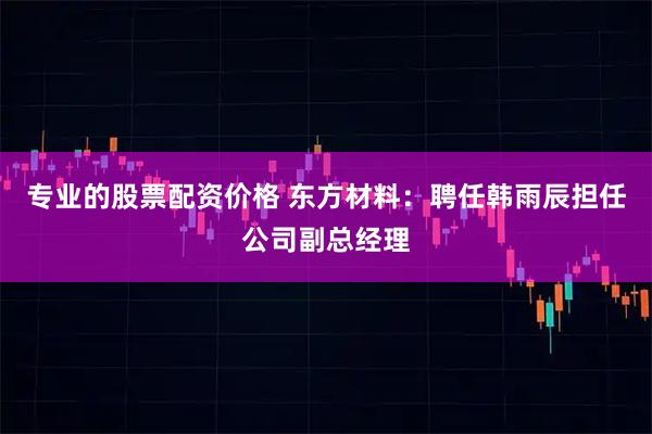 专业的股票配资价格 东方材料：聘任韩雨辰担任公司副总经理
